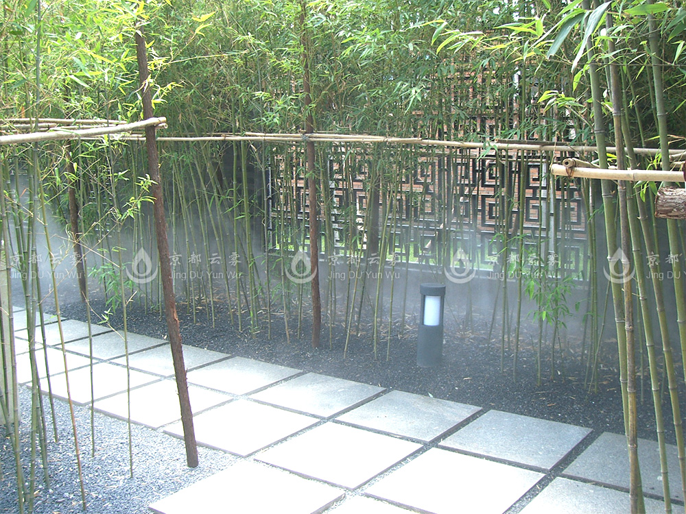 02.JPG