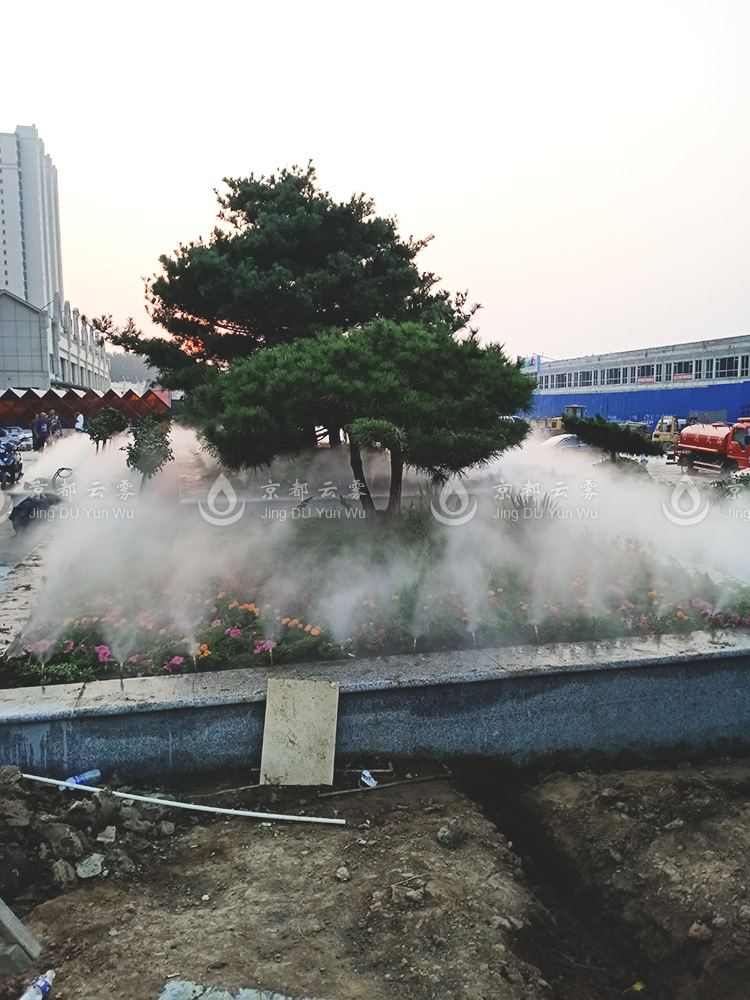 IMG20190928173204.jpg