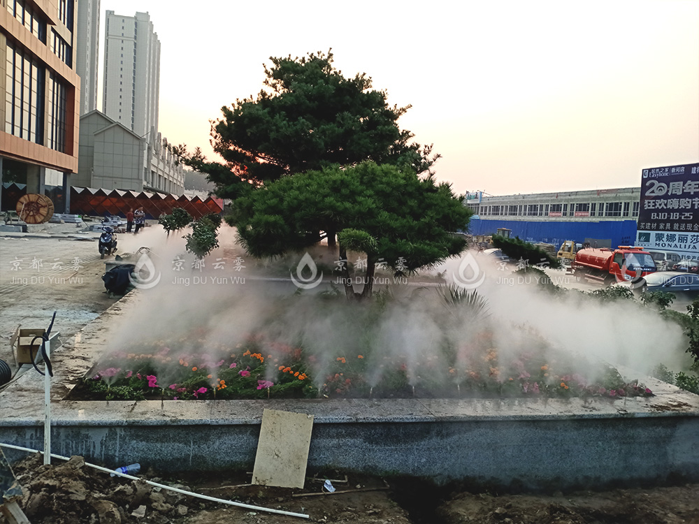 IMG20190928173222.jpg
